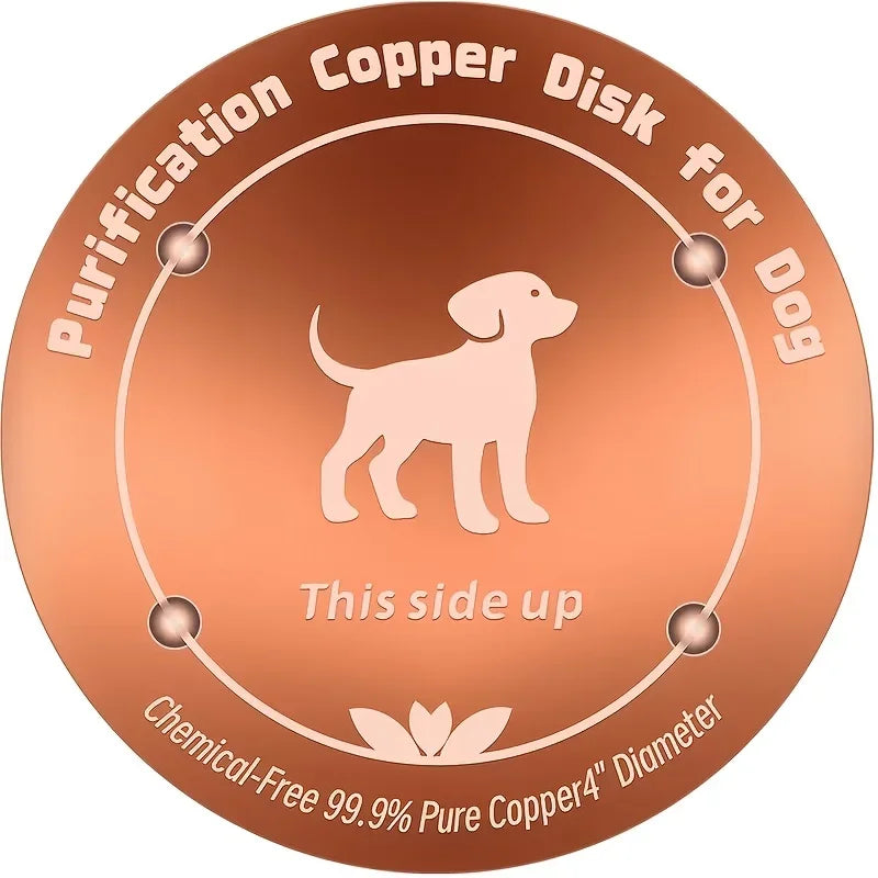 Purificateur Eau Cuivre  pour chien