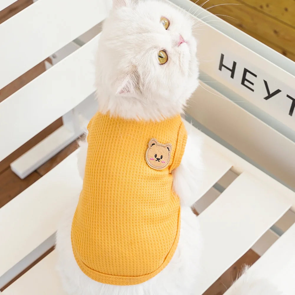 Gilet Ours Douillet Pour Chat