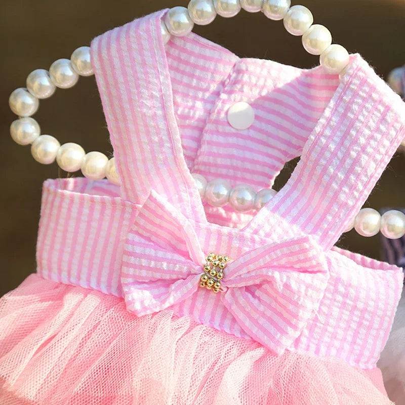 Robe Princesse Pour Animaux