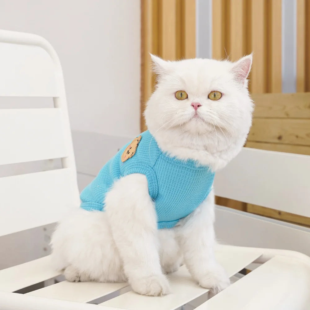 Gilet Ours Douillet Pour Chat