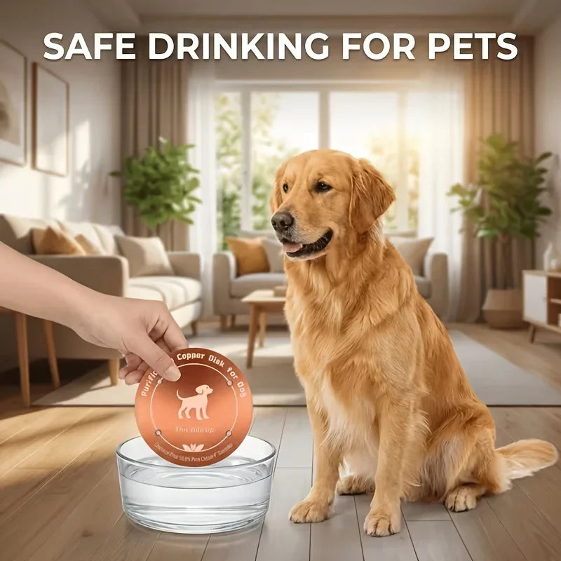 Purificateur Eau Cuivre  pour chien