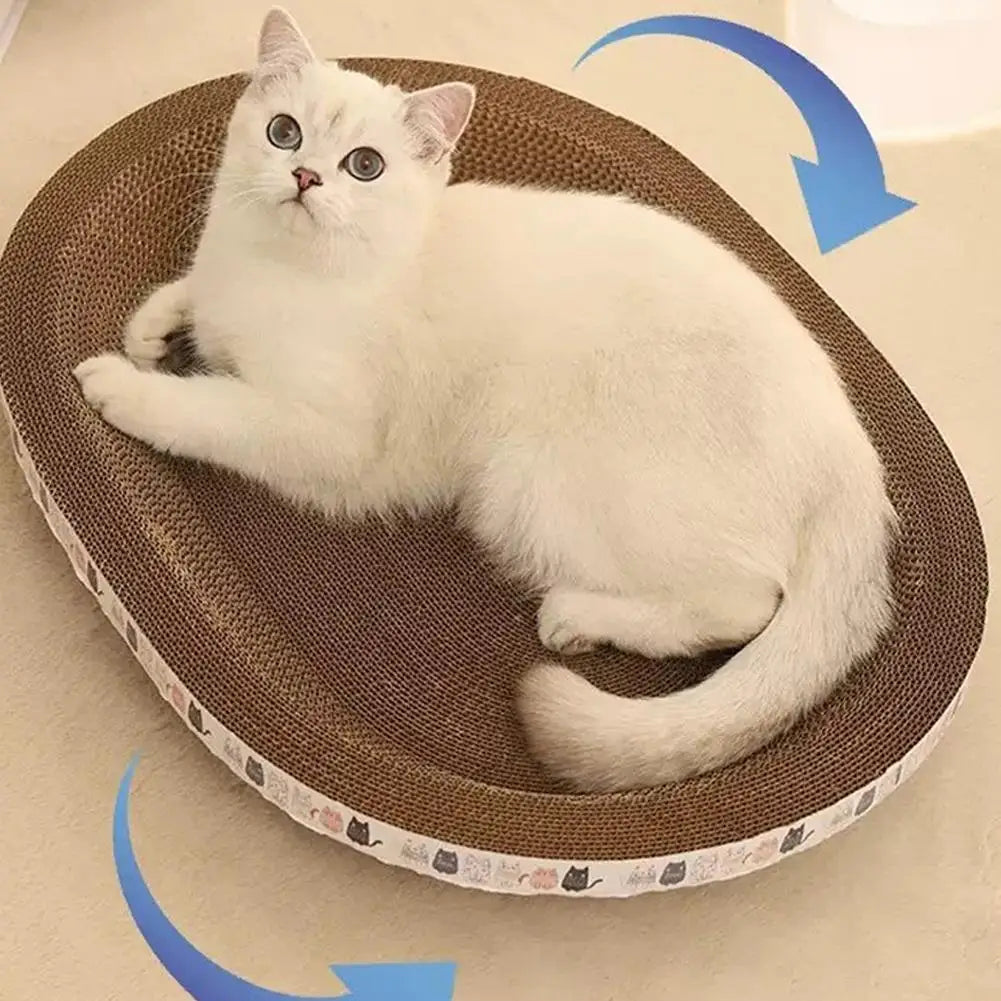 Griffoir Carton Anti-Griffes