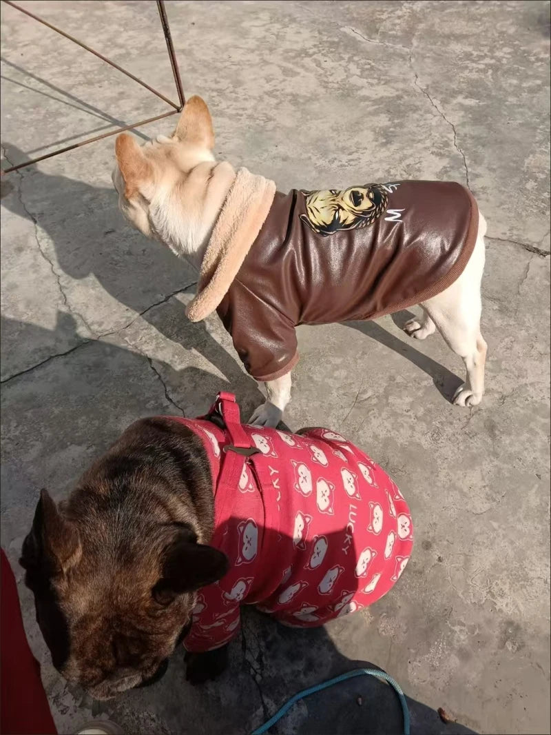 Manteau Hiver Pour Chien