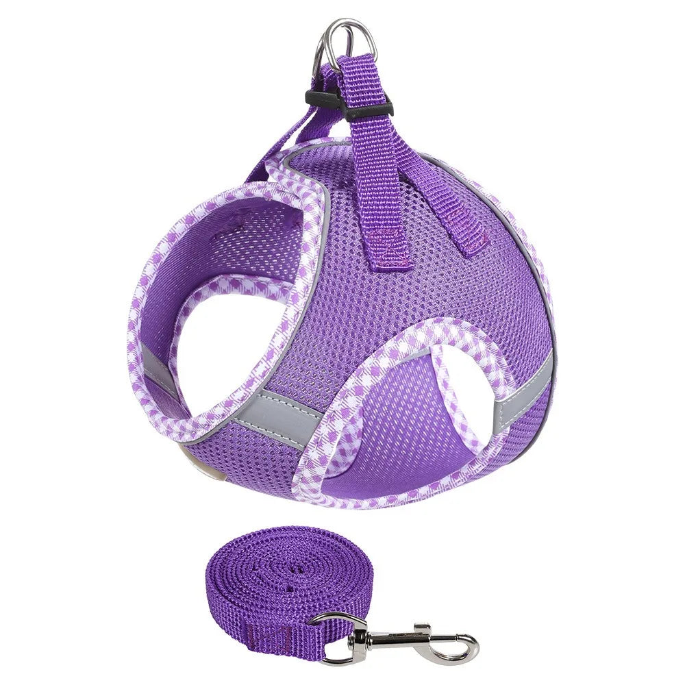 Balle Interactive pour Chien