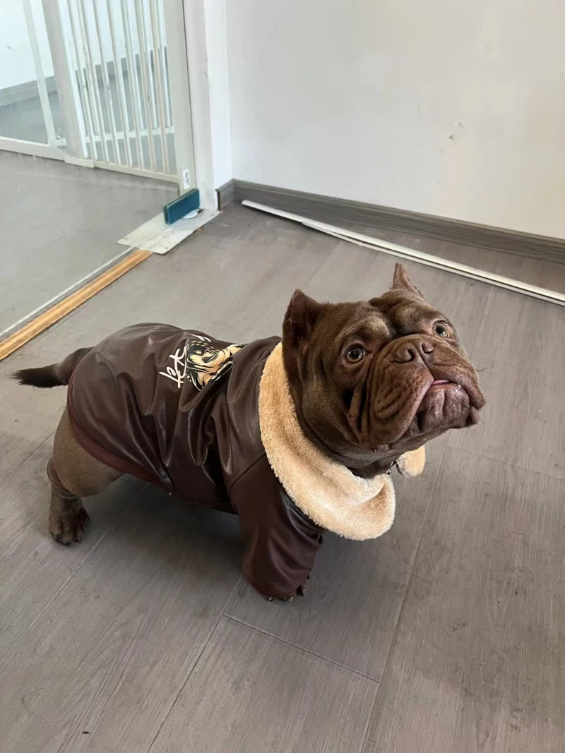 Manteau Hiver Pour Chien