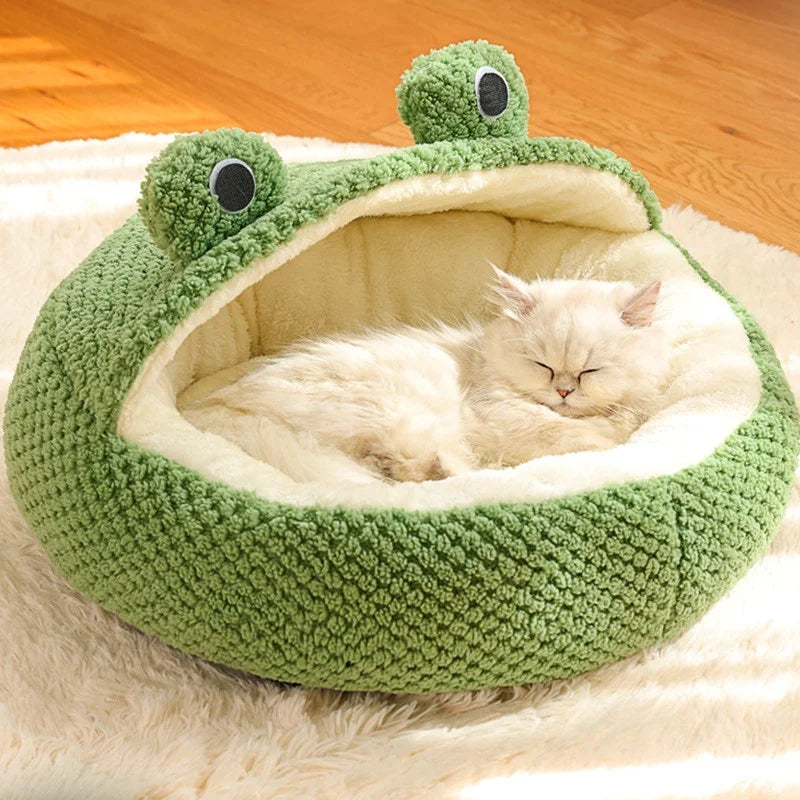 Nid Douillet Grenouille