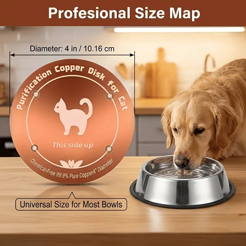Purificateur Eau Cuivre  pour chien