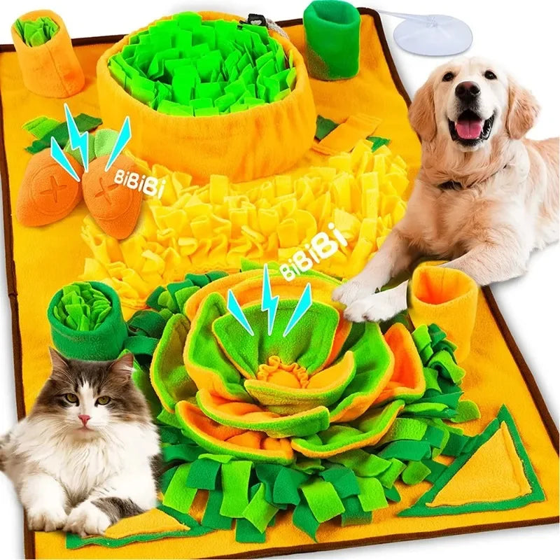 Grand Tapis de Fouille