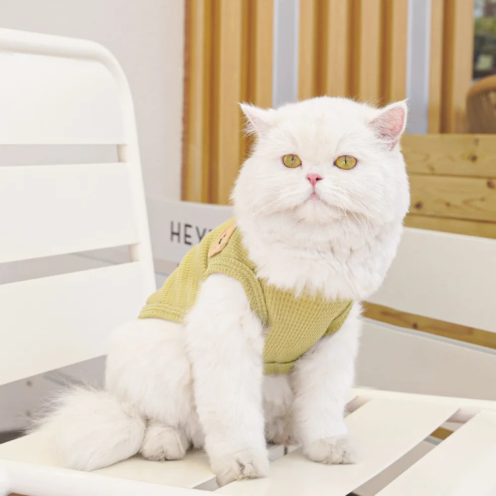Gilet Ours Douillet Pour Chat