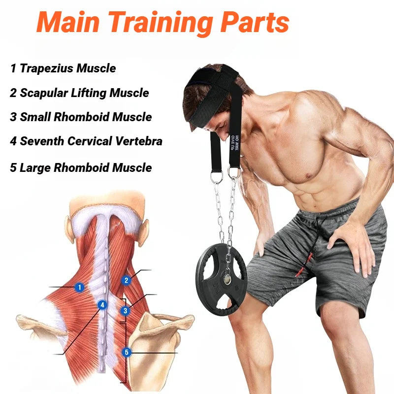 Harnais Entraînement Cervical