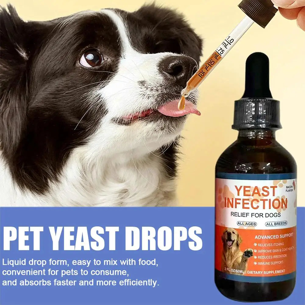 Gouttes Beauté Pour Chien