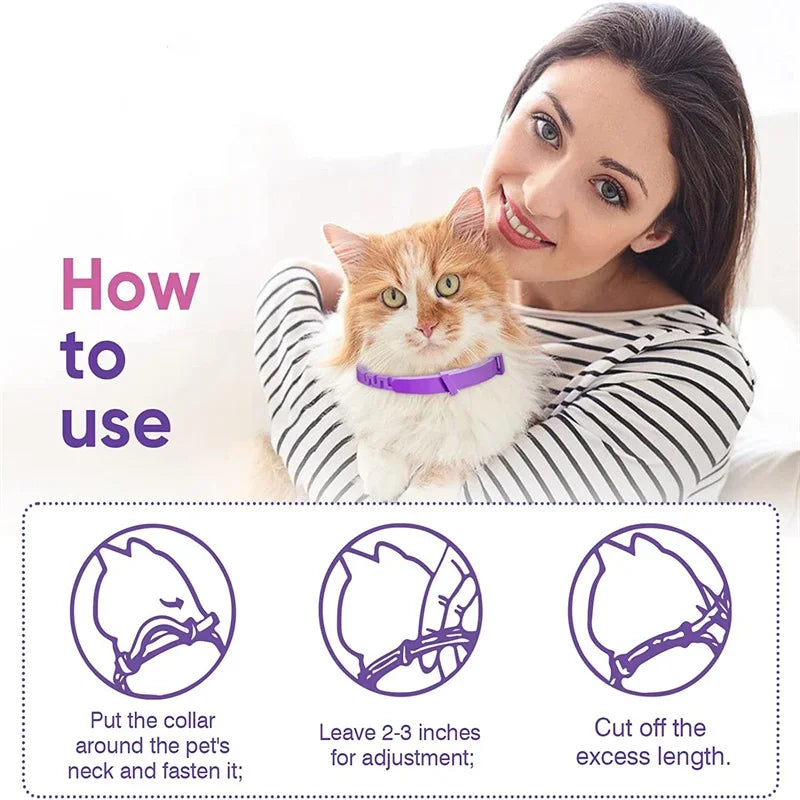 Collier Apaisant Pour Animaux