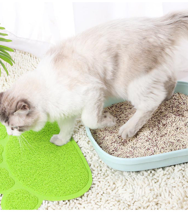 Tapis Anti-Saleté pour