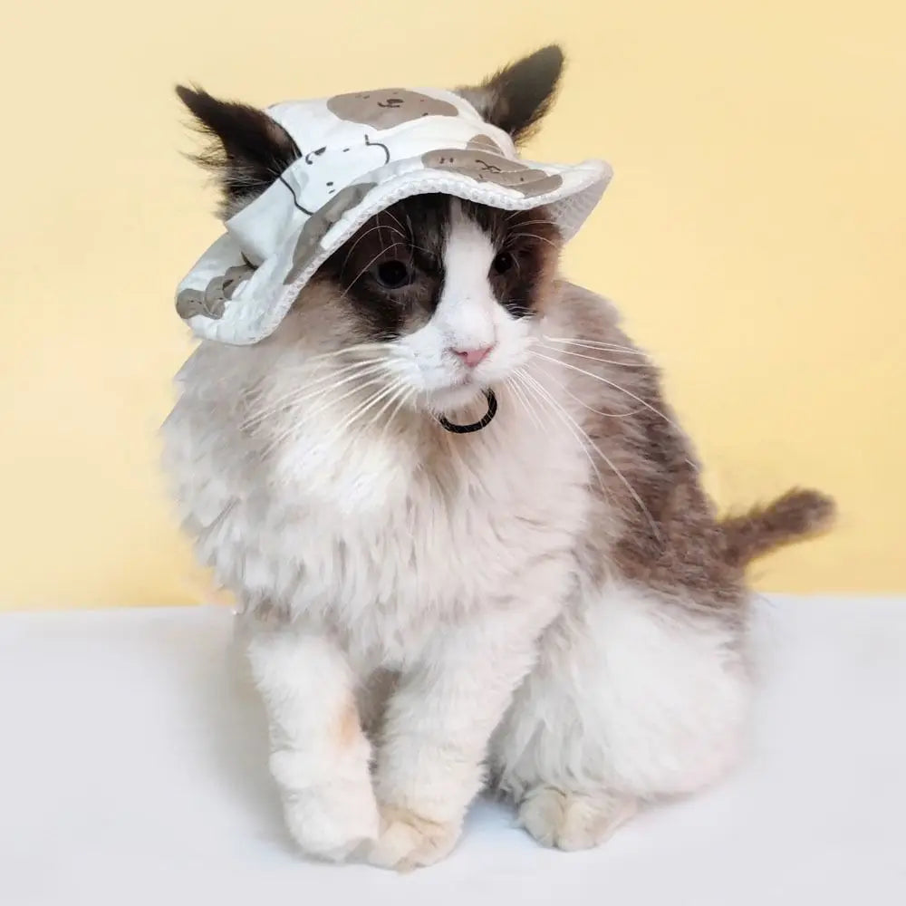 Chapeau Soleil Pour Animaux