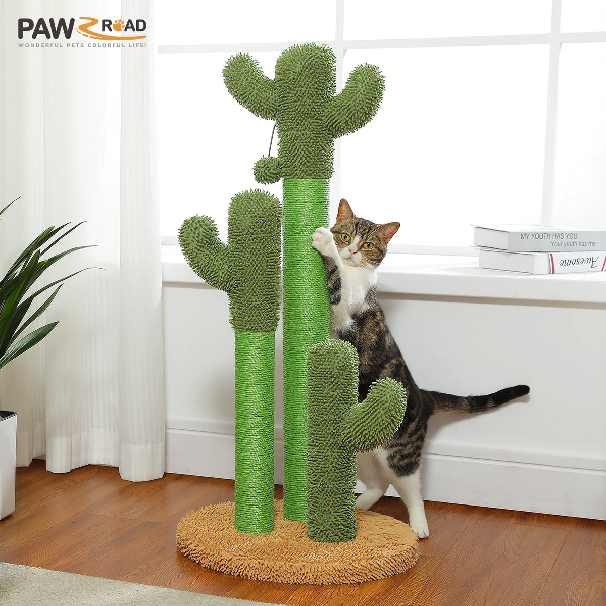 Griffoir Cactus Pour Chat