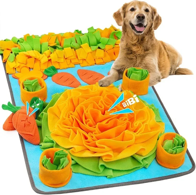 Grand Tapis de Fouille