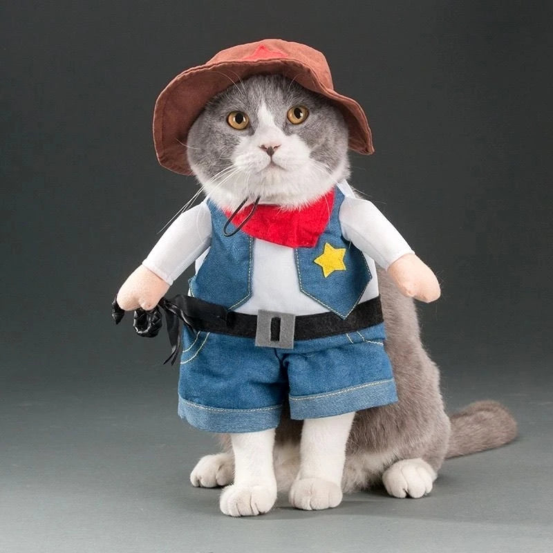 Costume Rigolo Pour Chat