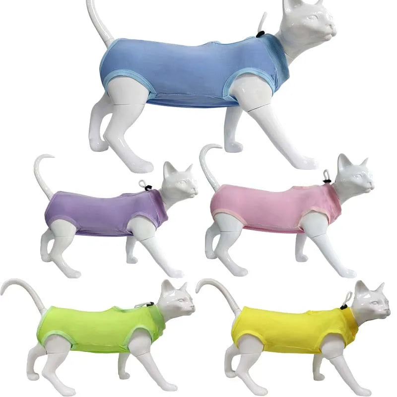 Combinaison Récupération Chat