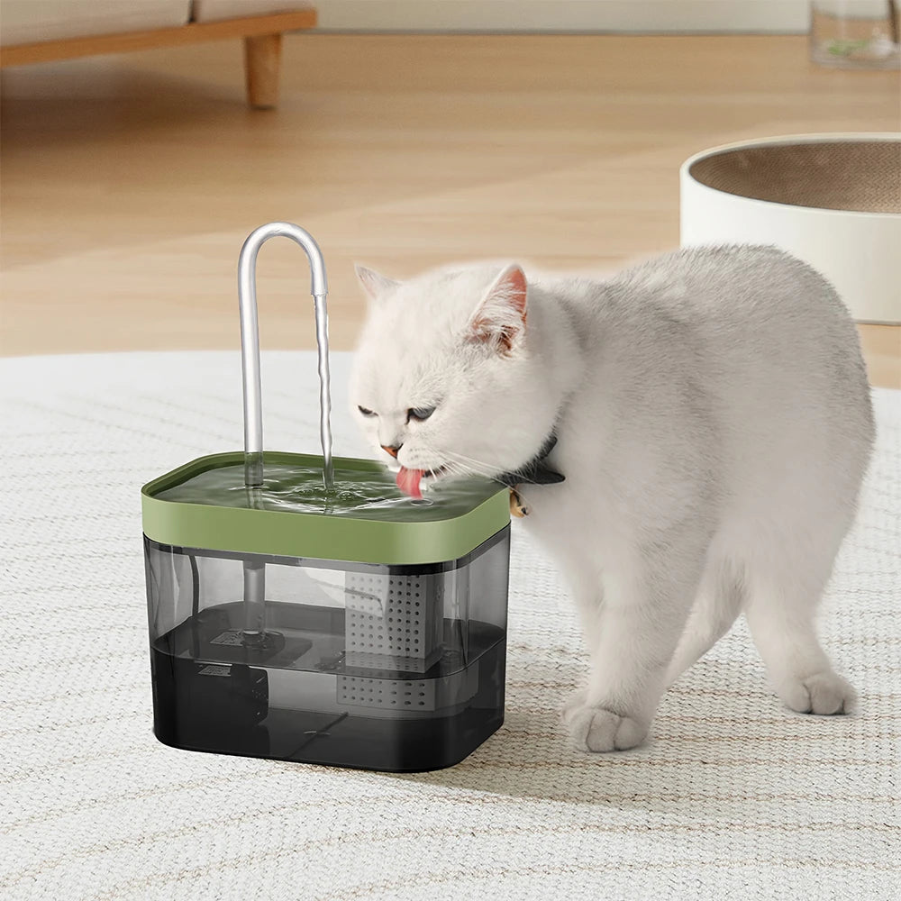 Fontaine Transparent pour Chat