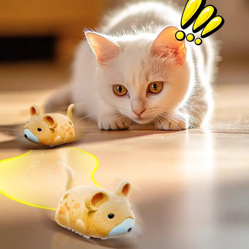 Souris Électrique Interactive