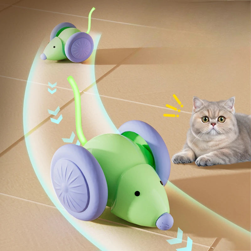 Voiture Souris Interactive
