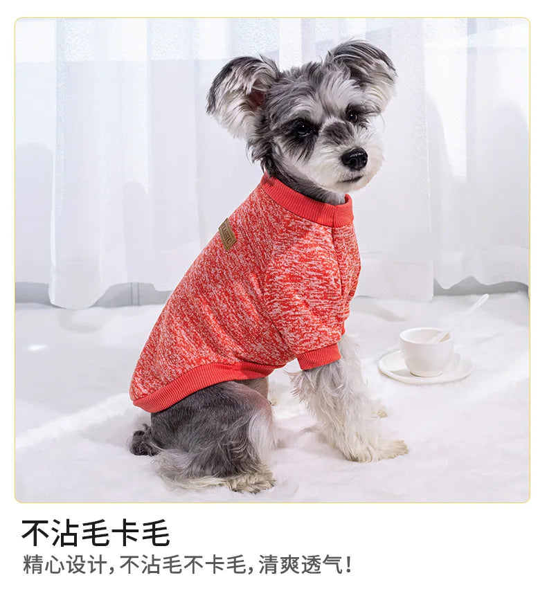 Pull Chaud Pour Chien