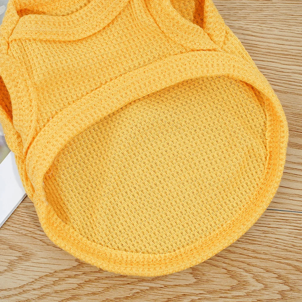 Gilet Ours Douillet Pour Chat