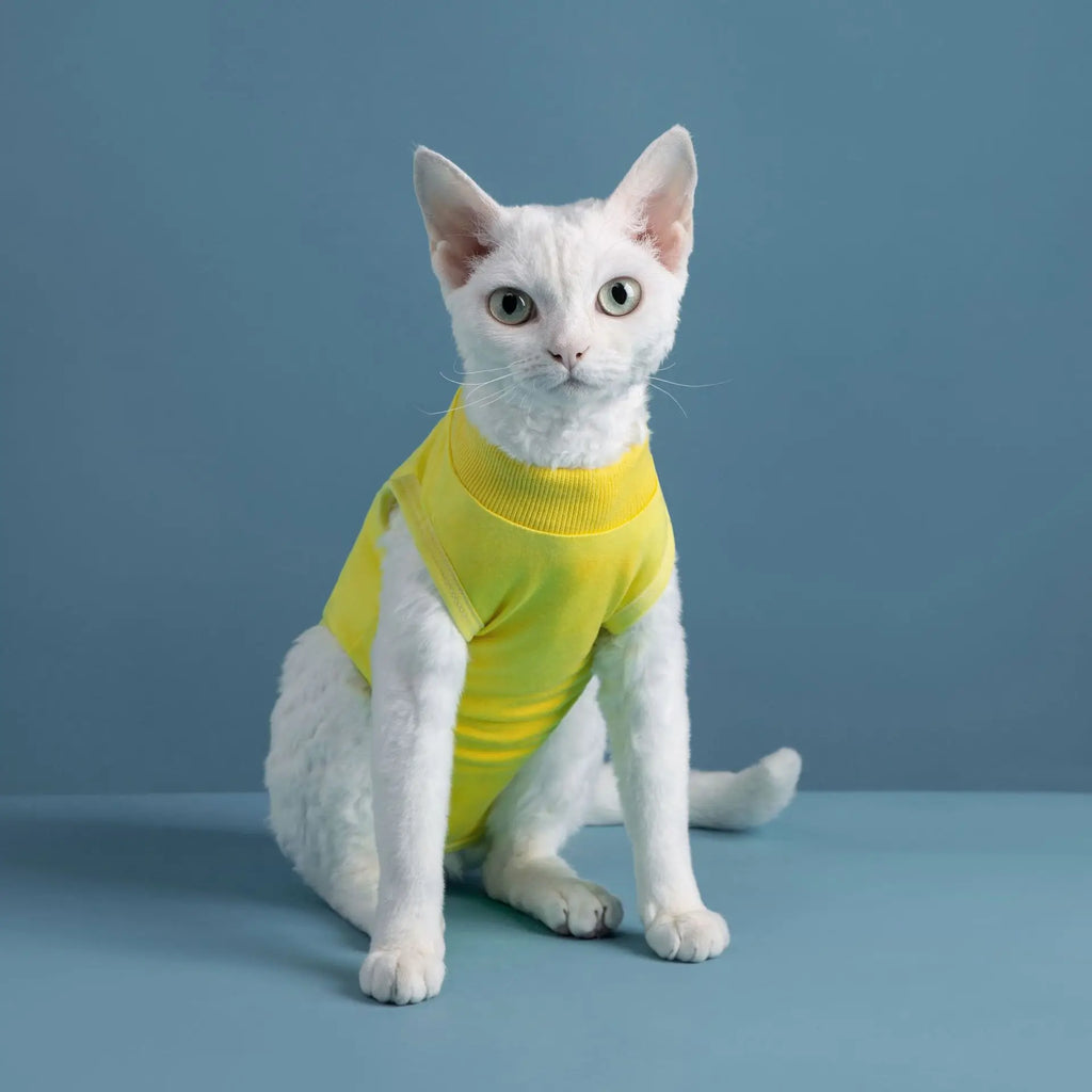 Combinaison Récupération Chat