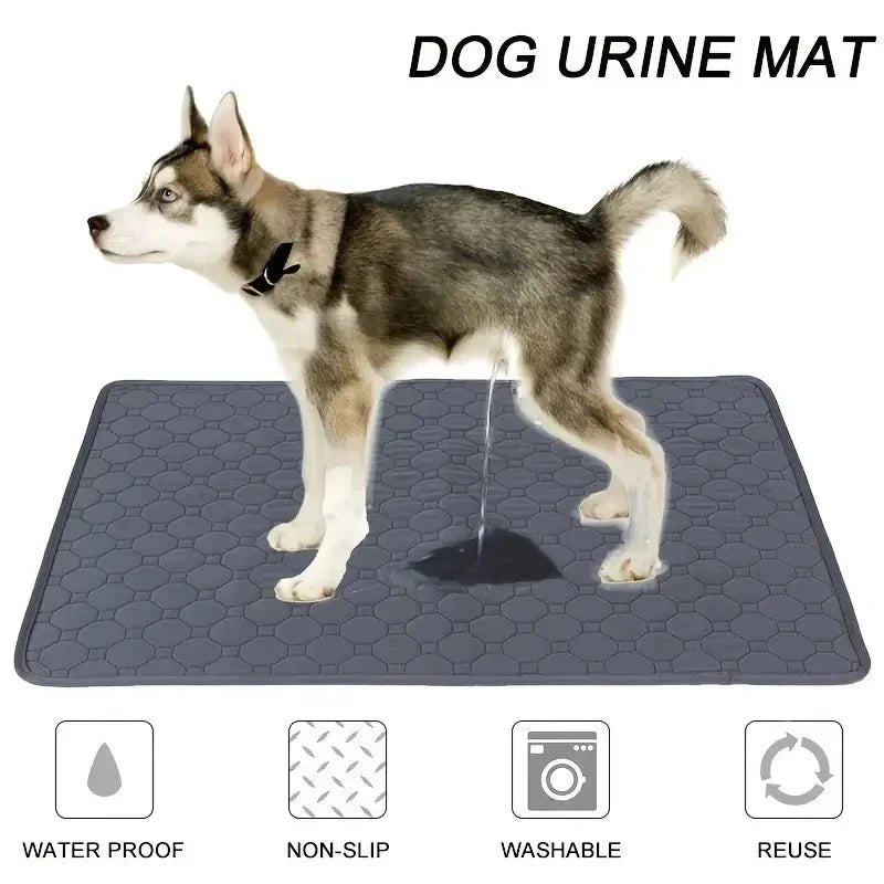 Tapis Imperméable Réutilisable