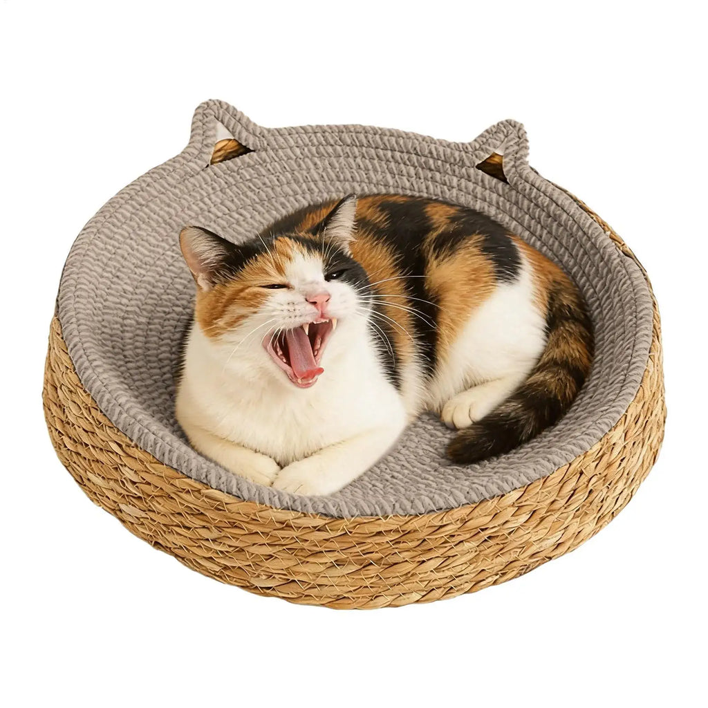 Nid Griffoir Douillet Chat
