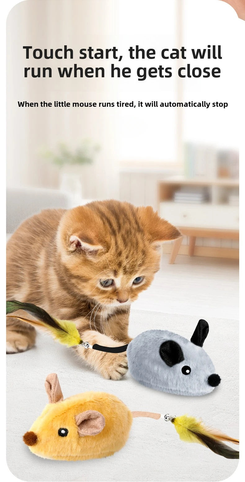 Souris Interactive Automatique