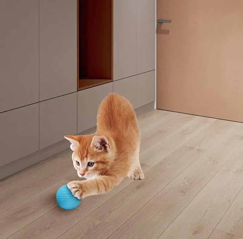 Balle Intelligente Pour Chat
