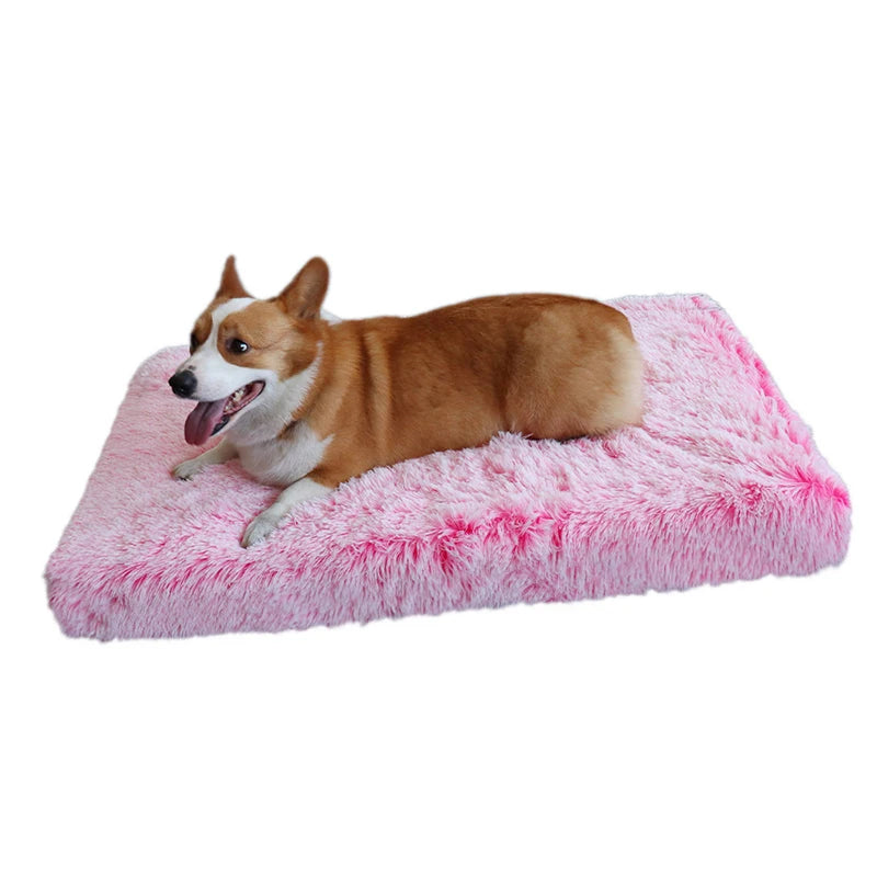 Cocon Douillet pour Animaux