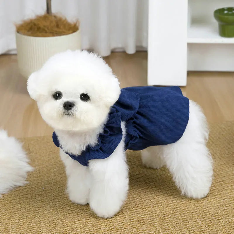 Tenue Princesse Pour Chat