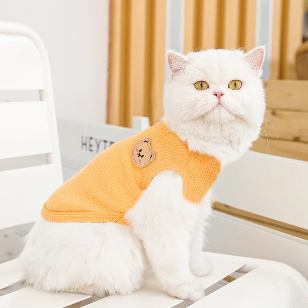 Gilet Ours Douillet Pour Chat