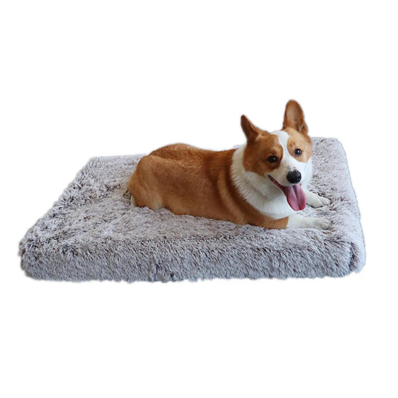 Cocon Douillet pour Animaux
