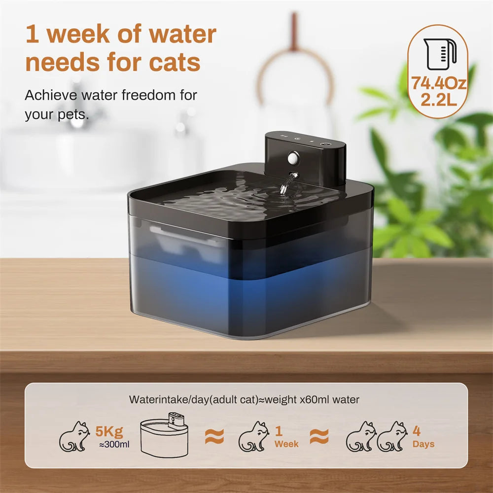 Fontaine Intelligente pour Chat