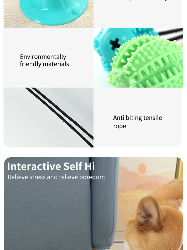 Jouet Interactif Gourmand