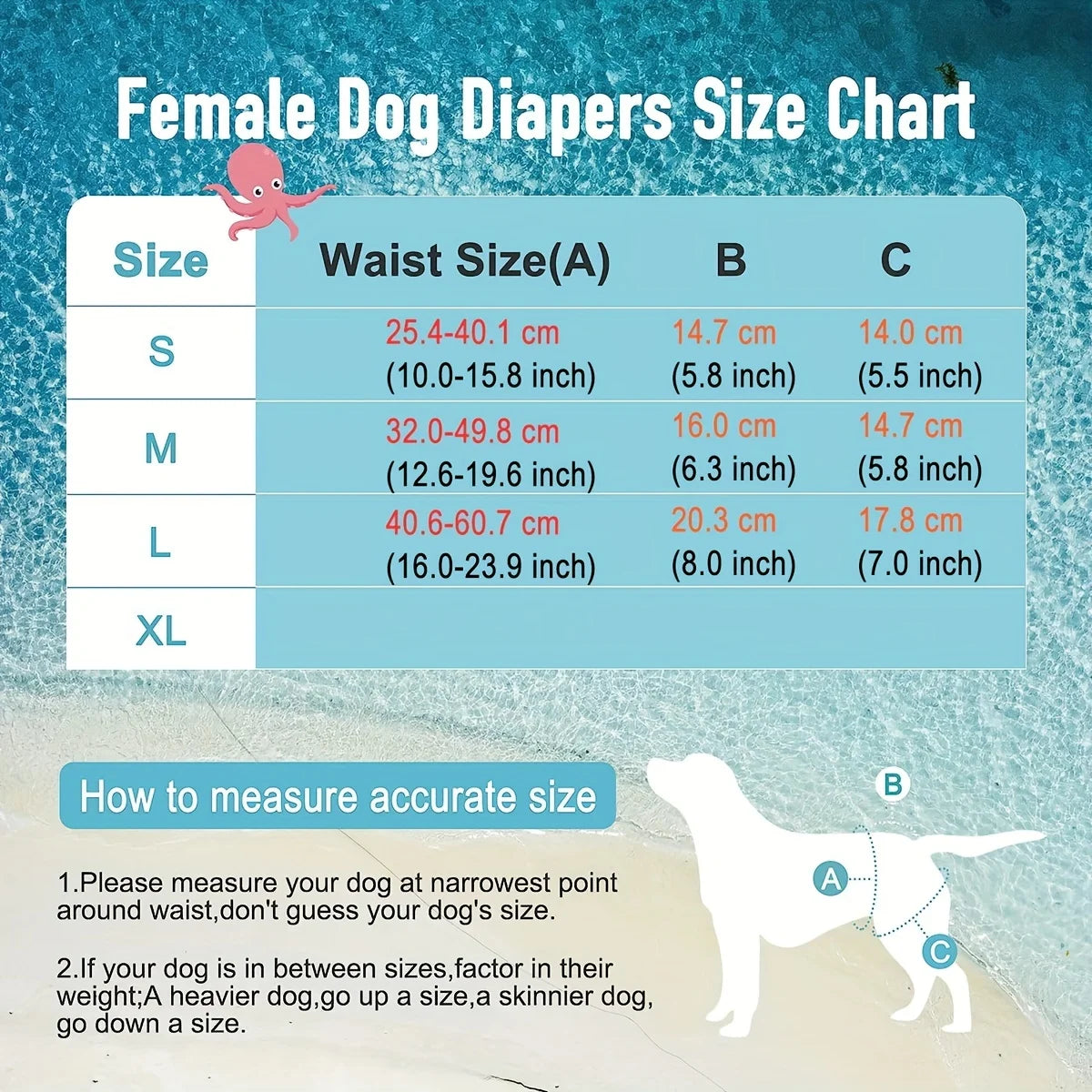 Culotte Lavable Pour Chienne