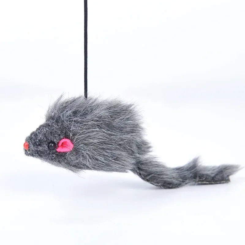 Souris Interactive Pour Chat