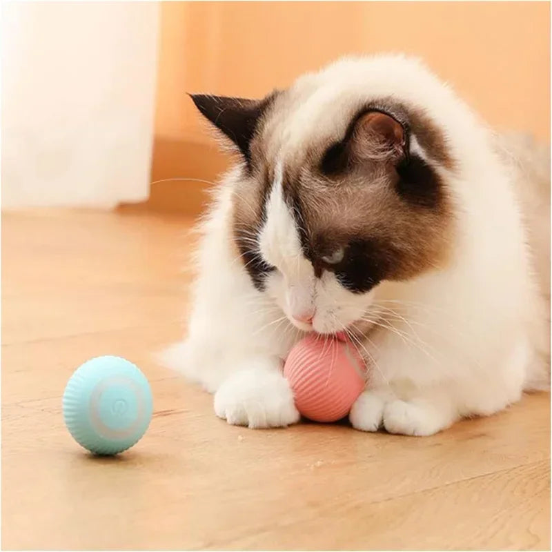 Balle Intelligente Pour Chat