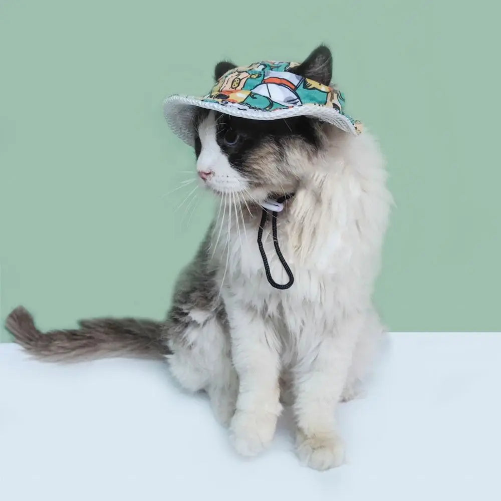 Chapeau Soleil Pour Animaux