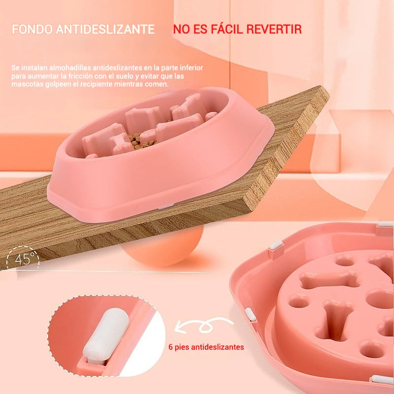Gamelle Slow Feeder
