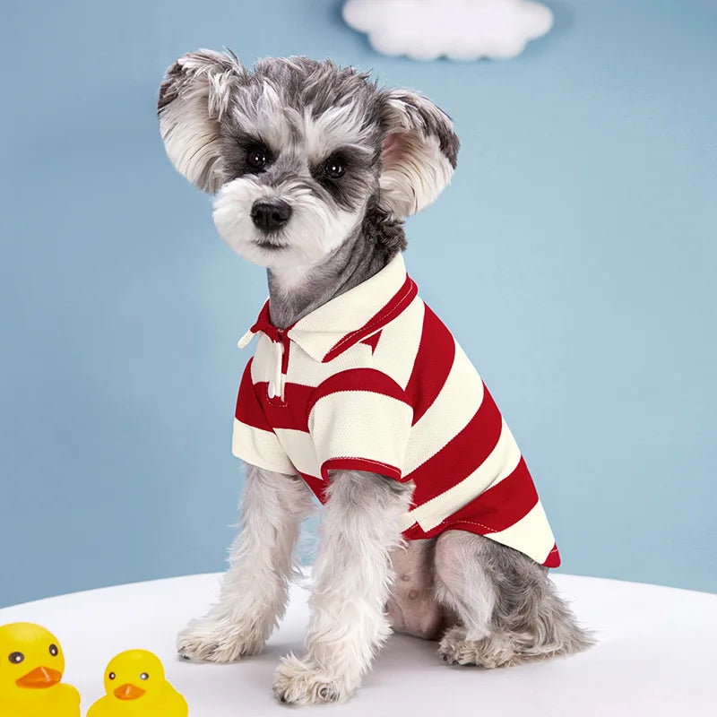 Polo Estival pour Animaux