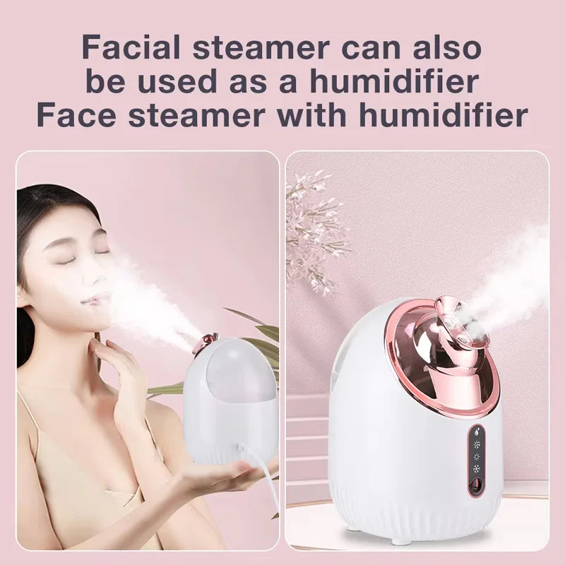 Brumisateur Vapeur Visage