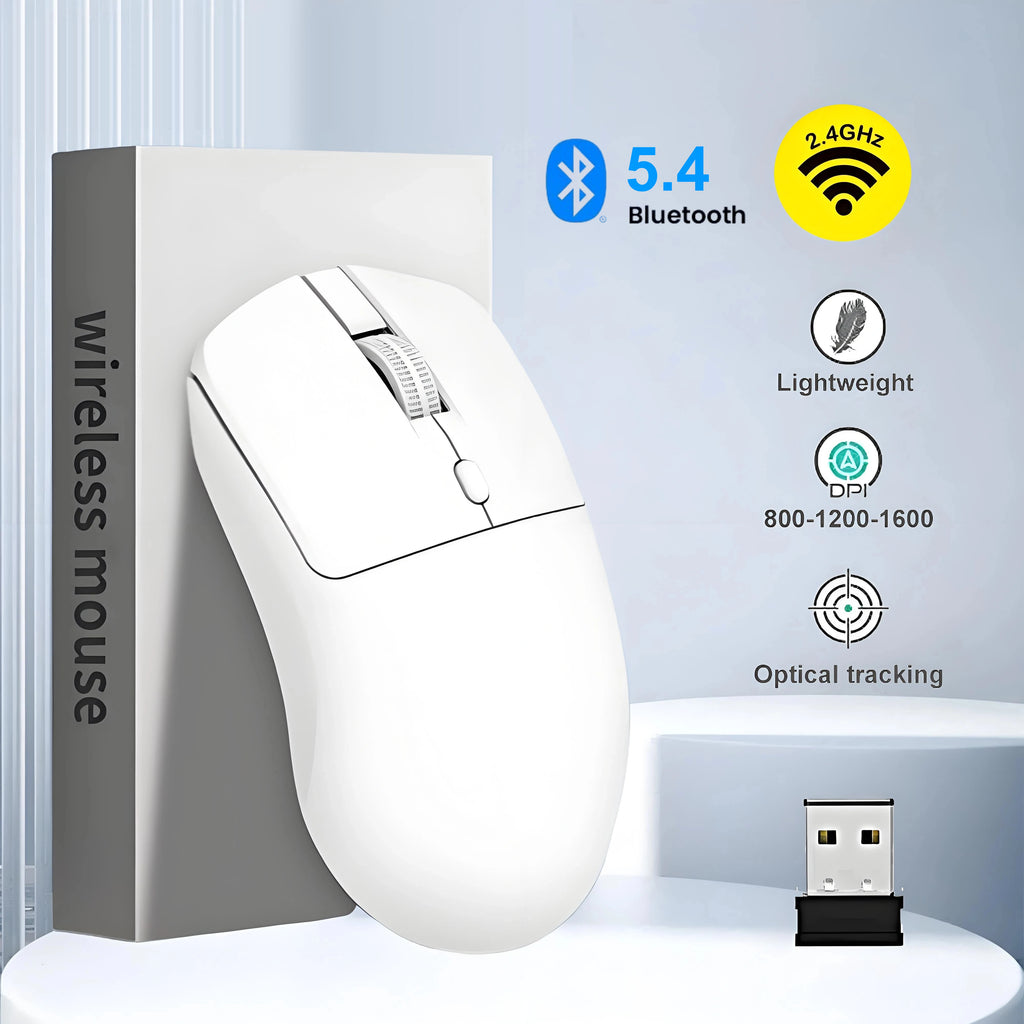 Souris Sans Fil Ergonomique