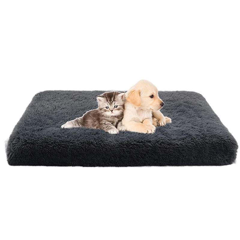 Cocon Douillet pour Animaux