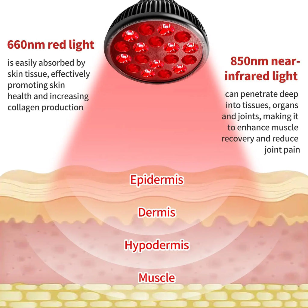 Ampoule Thérapie Rouge E27