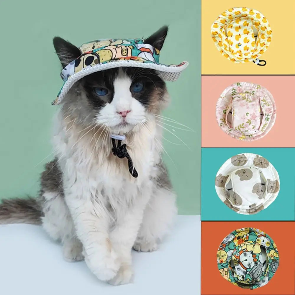 Chapeau Soleil Pour Animaux