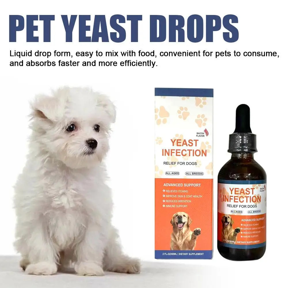 Gouttes Beauté Pour Chien